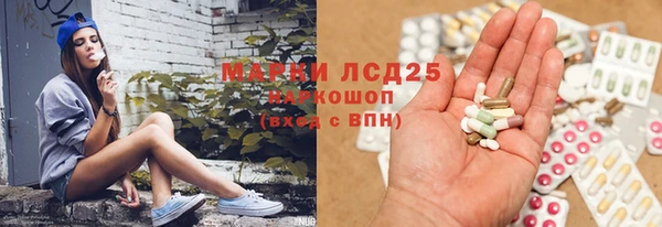 ГАЛЛЮЦИНОГЕННЫЕ ГРИБЫ Алексеевка