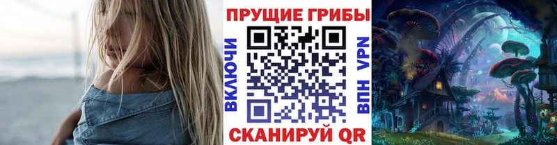 Псилоцибиновые грибы Cubensis Краснотурьинск